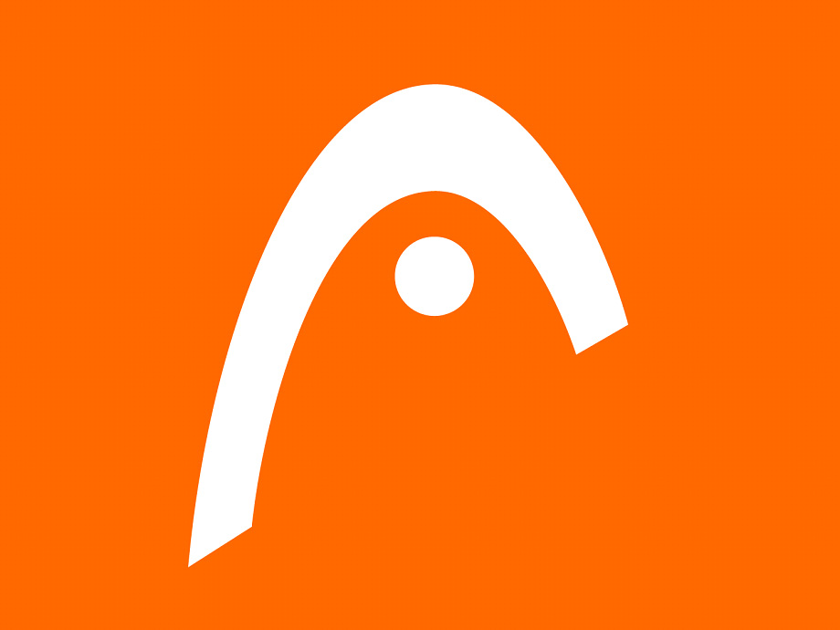 logo head